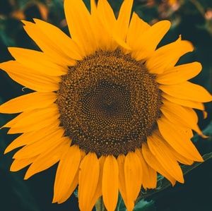 Meet your Posher, Becca